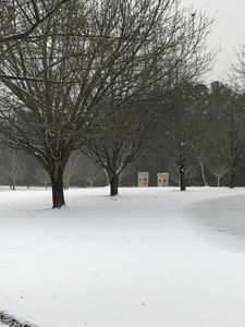 8525 Whittle Rd, Macon, GA, 31220