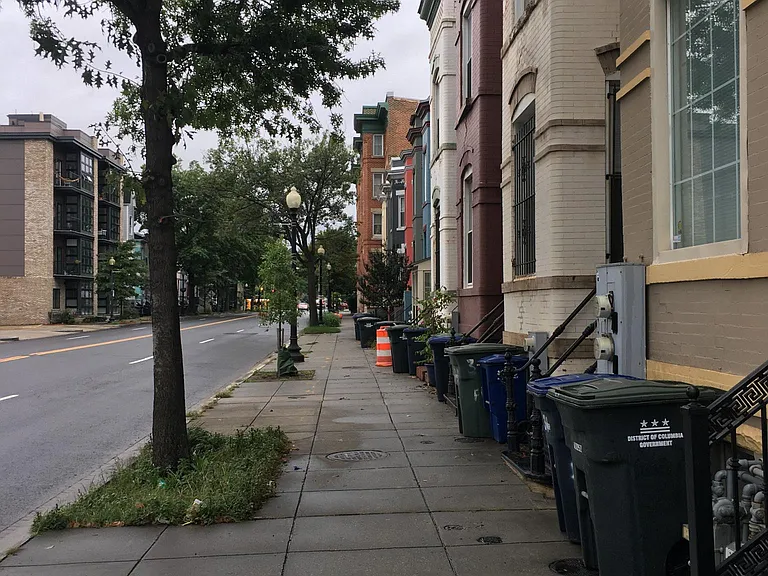 Neighborhood Views