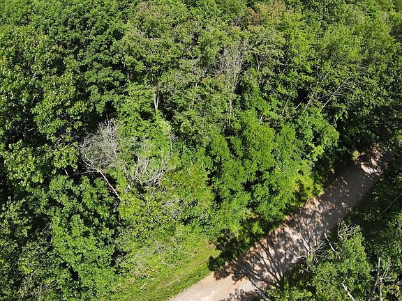 2nd image of Malone Rd