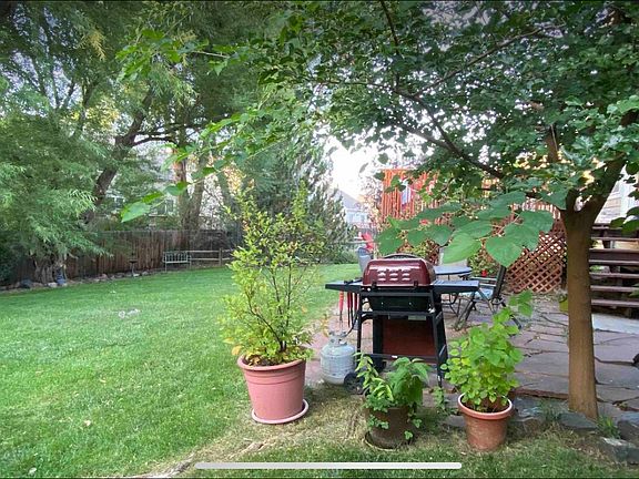 Backyard with a lot of shade