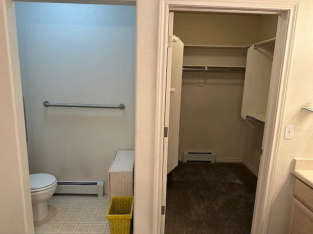 Master Bath and walk-in closet