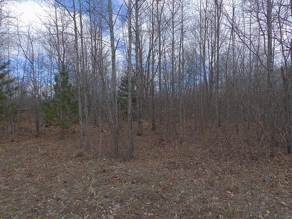 5th image of Pineview Dr