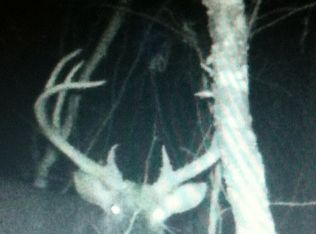 Truly Road Unknow, Lexington, MS 39095