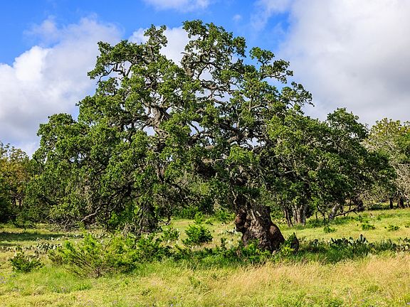 2nd image of 1106 Perry Ranch Rd