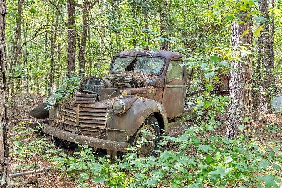 16th image of 356 Massey-Doss Road