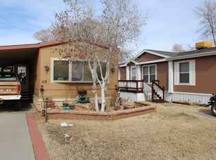 3251 E Rd LOT 113, Clifton, CO 81520