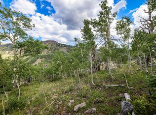 445 W Ridge View St #WB-17, Brian Head, UT 84719