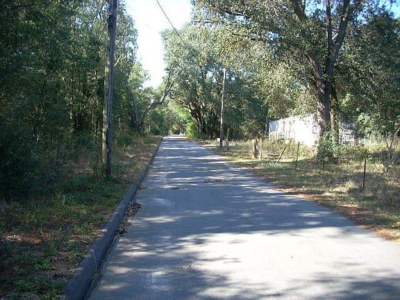 4th image of 0 Ernie Newton Dr