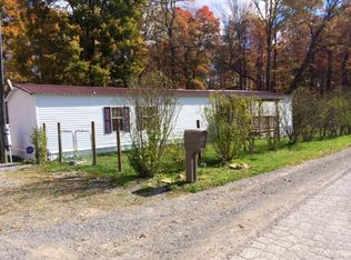 542 Firetower Rd, Craigsville, WV 26205