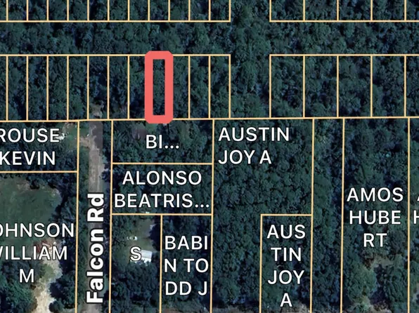 Nhn Lot 12, Gautier, MS 39553