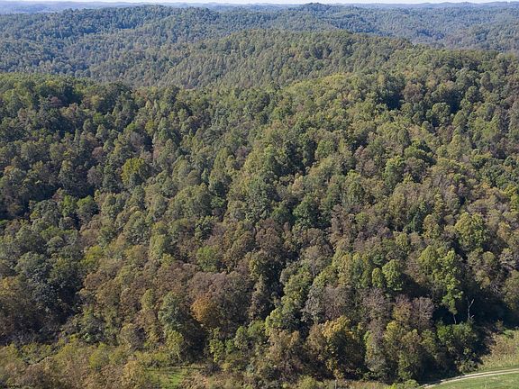 2nd image of Flag Run Rd