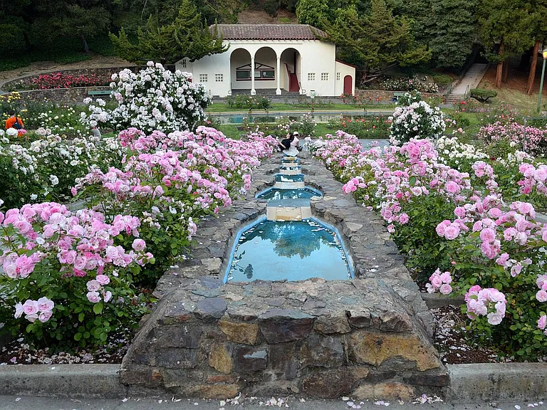 ROSE GARDEN PARK - AT THE END OF THE THE BLOCK