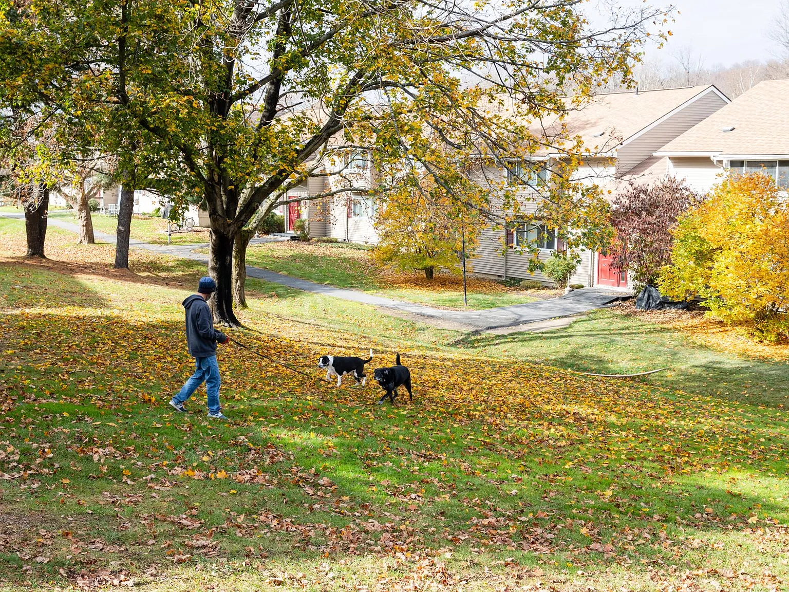 Applewood Acres — Photo 3