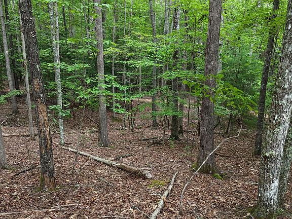 4th image of Carter Ln Lot 17