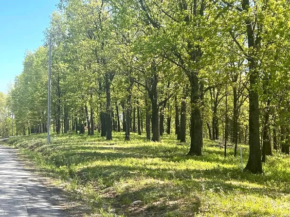 0 Corkery Rd, Tunas, MO 65764