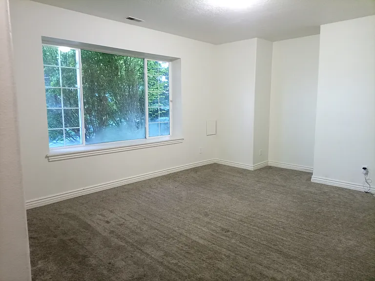 Living room, downstairs
