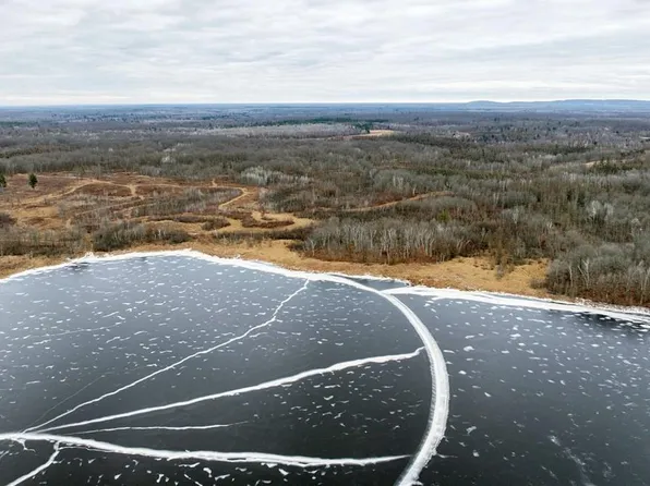 81 acres Pinnow Road, Bruce, WI 54819