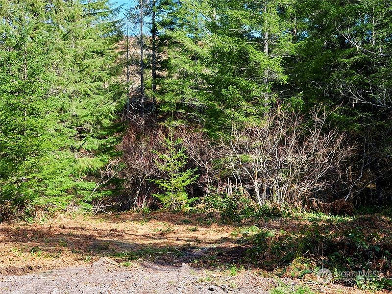 5th image of 8 Lahar Lane