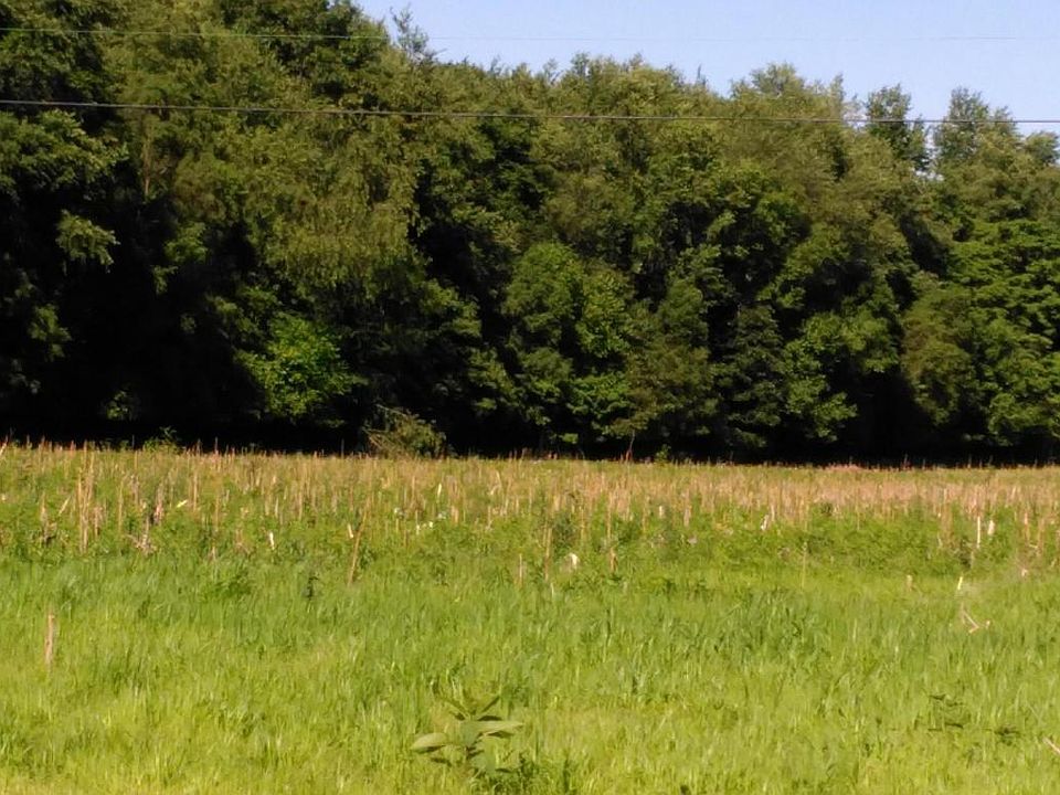 2nd image of Portage Rd