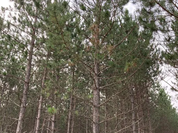 On Kjar Rd, Tomahawk, WI 54487