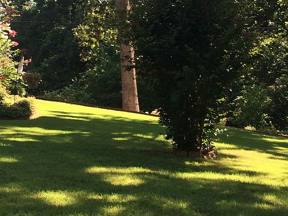 Side yard