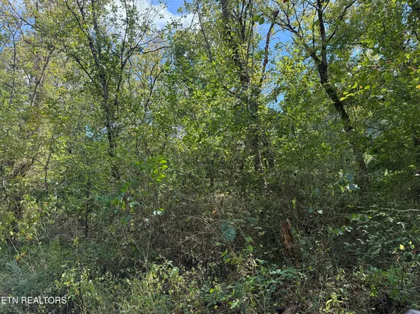 Kenwood Ln, La Follette, TN 37766