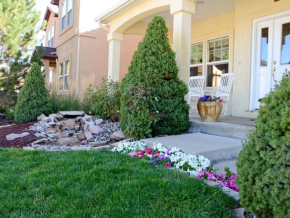Front Yard