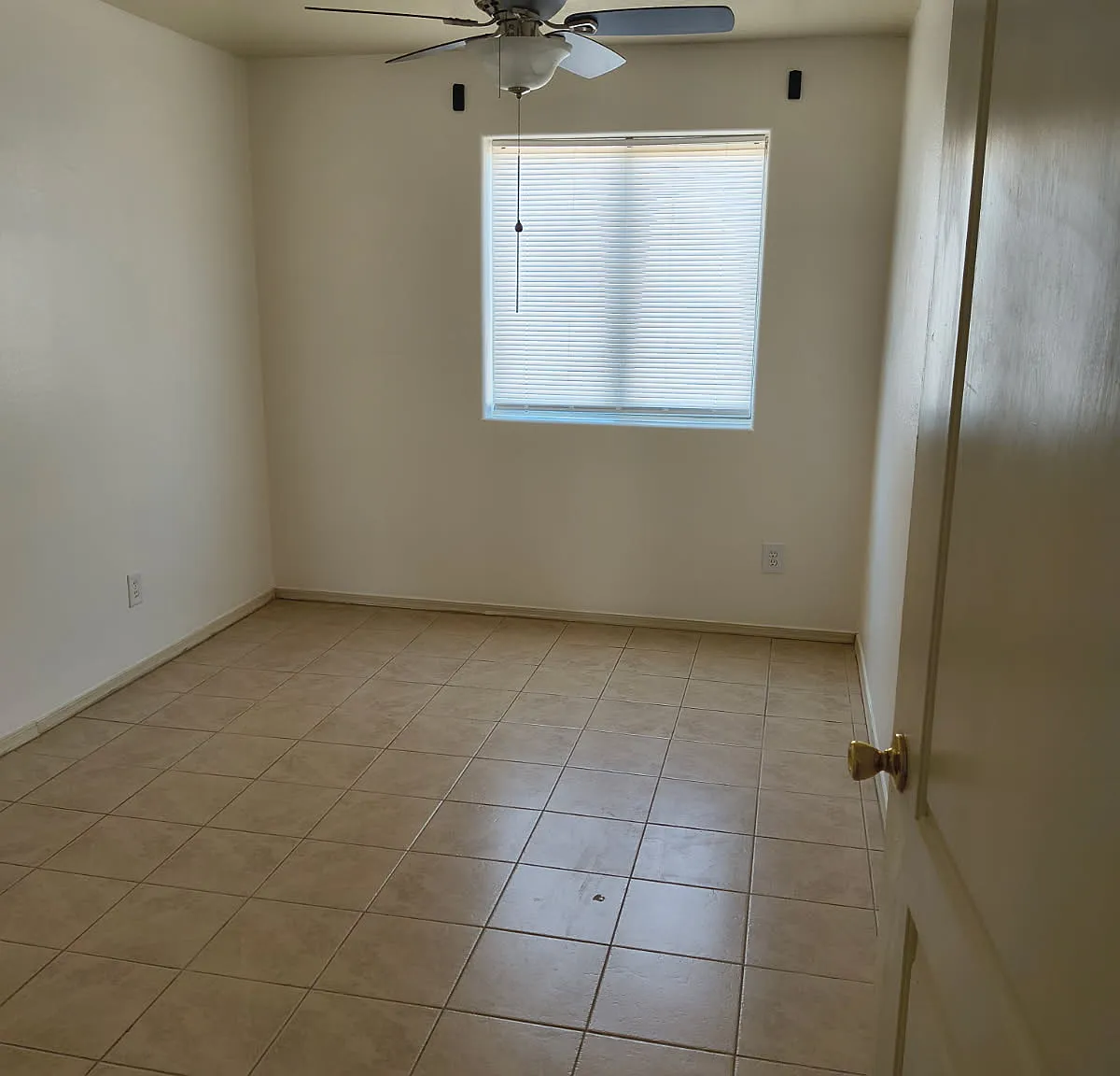 2 bed, 820 sqft, $1,600 — Photo 4