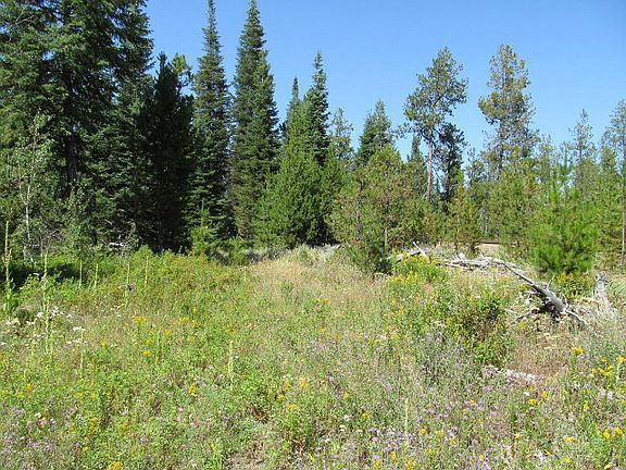 2nd image of 89 Forest Lake Cir