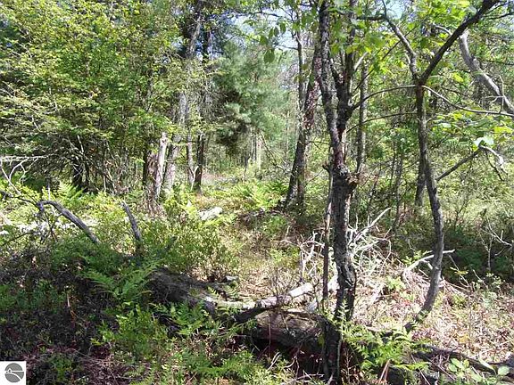 4th image of 0 Beaver Lake Trl