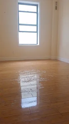 Rented by Bohemia Realty Group | media 16