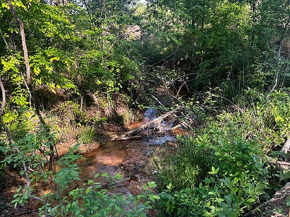4th image of Cotton Hill Rd