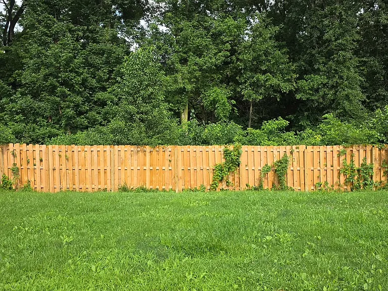 245 Bluegrass Dr — Photo 9
