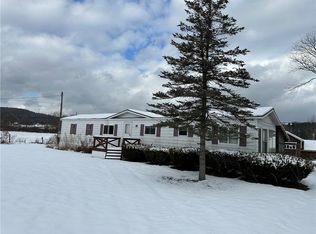 19 Royal St, Candor, NY 13743