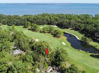 6 Black Rail Ln, Hilton Head Island, SC 29926