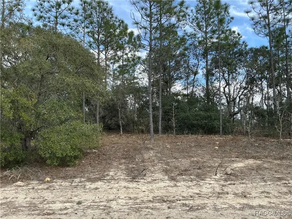 9581 N Wallace Way, Dunnellon, FL 34433