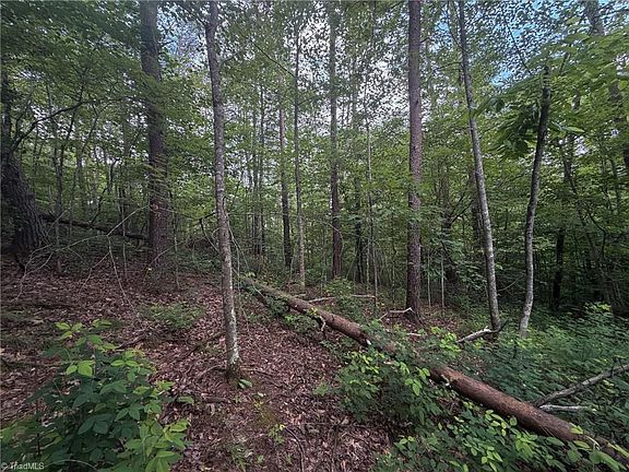 5th image of 0 Lynchburg Rd