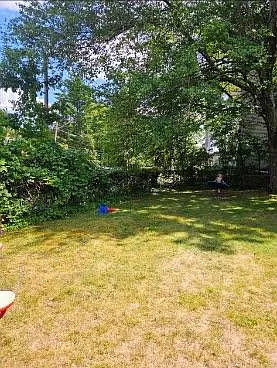 2060 Elm St — Photo 18