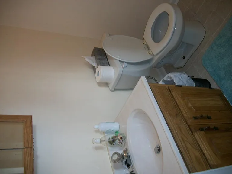 Bathroom 1 (Pic 1 of 2)