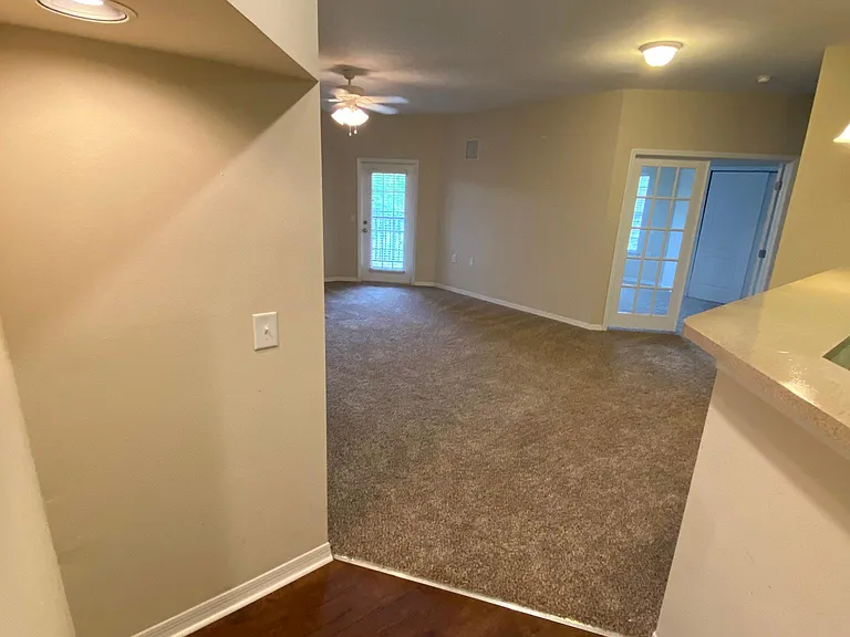 Walkway to Living Room
