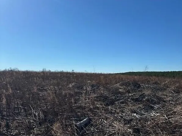 4 50th Ave, Gruetli Laager, TN 37339