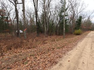 N 40th Ave, Bitely, MI 49309
