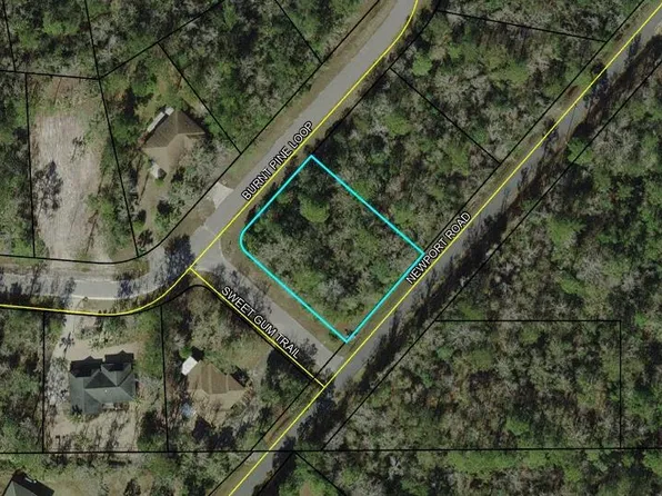 18 Sweet Gum Trail St, Marks, FL 32355