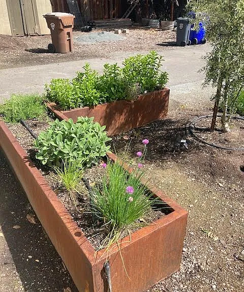 herb garden