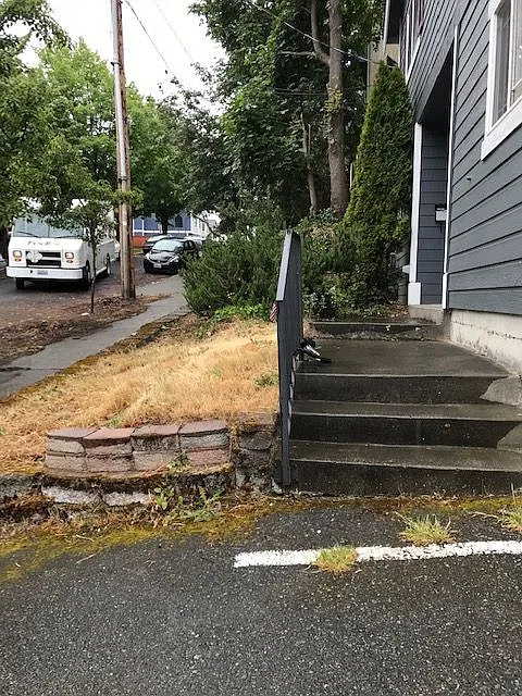 2 bed, 950 sqft, $3,000 — Photo 3