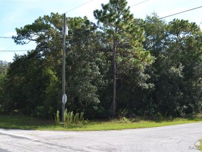 5949 N Kingwood Ter, Beverly Hills, FL, 34465