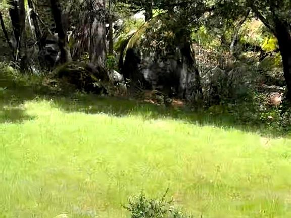 4th image of 43929 Badger Hollow Trl