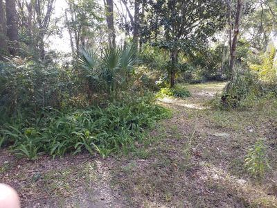 3 NE 5th St, Chiefland, FL, 32626