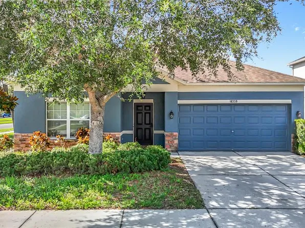 18339 Fish Loop, Land O Lakes, FL 34638