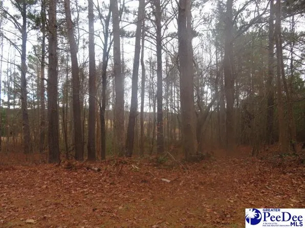 0 Old Pond Ln, Hartsville, SC 29550